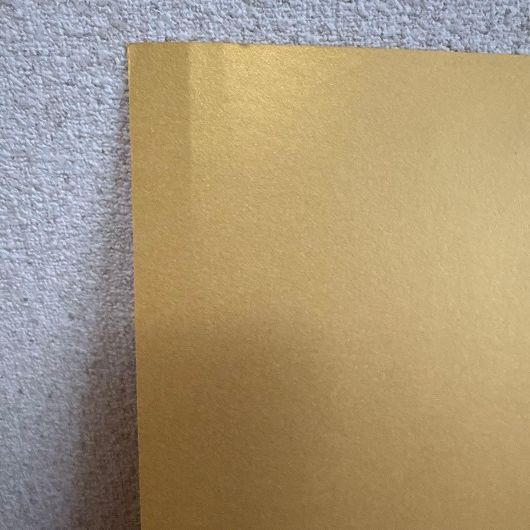 coral&tusk コーラルアンドタスク　ウォールアート