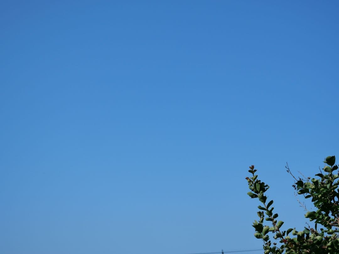 SIGMA 30mm f/2.8 DNレンズ