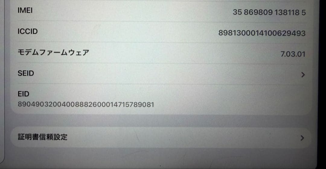Apple iPad Pro (11インチ)スペースグレー 本体