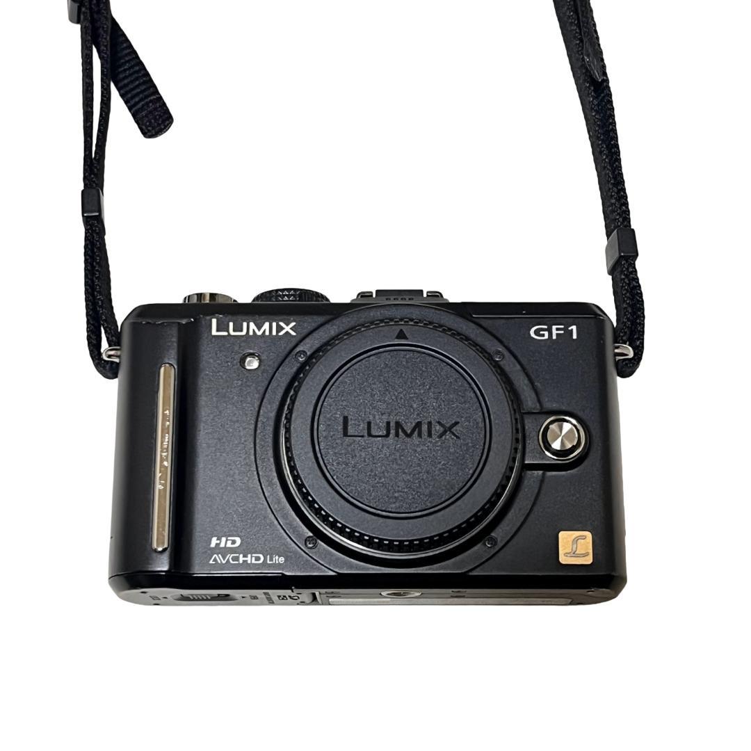 Panasonic LUMIX GF1 ボディ ストラップ 充電器 バッテリー