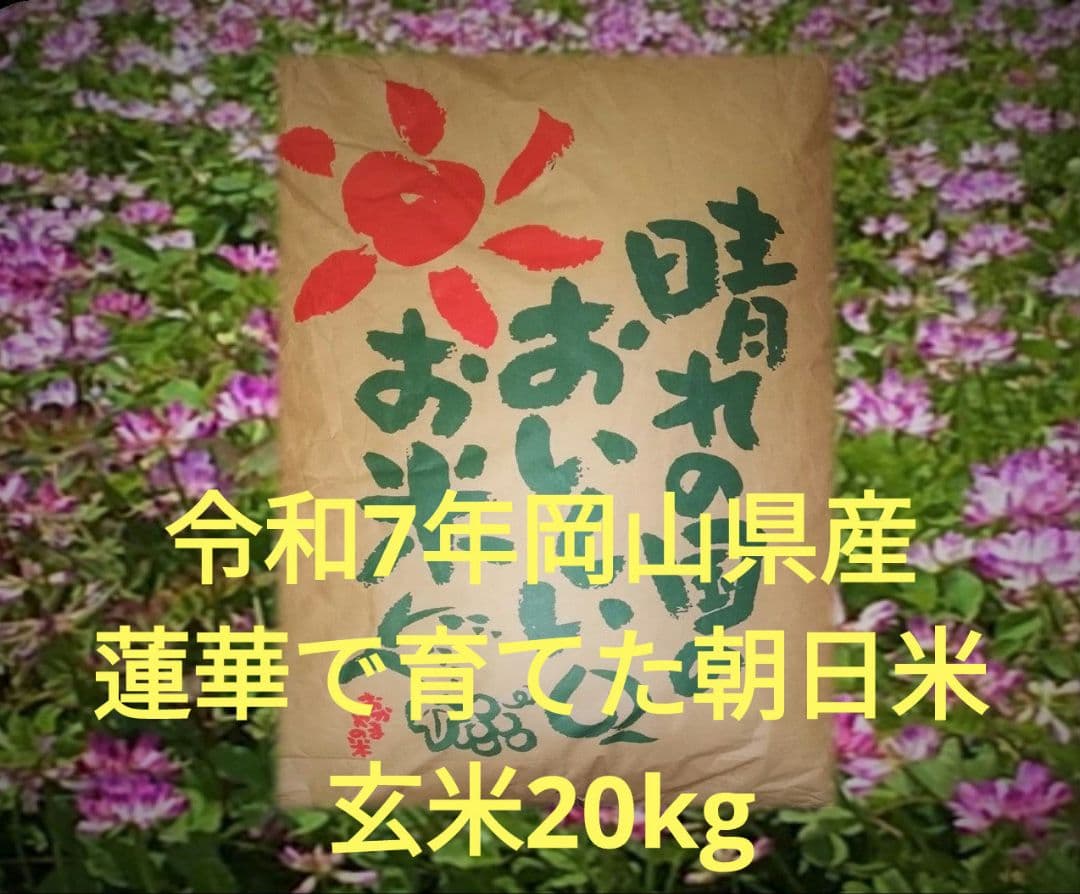岡山県 令和7年 朝日米 玄米 20kg