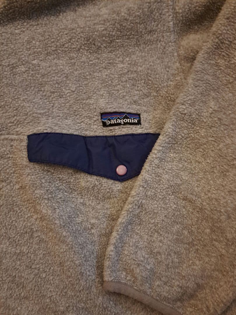 パタゴニアスナップT