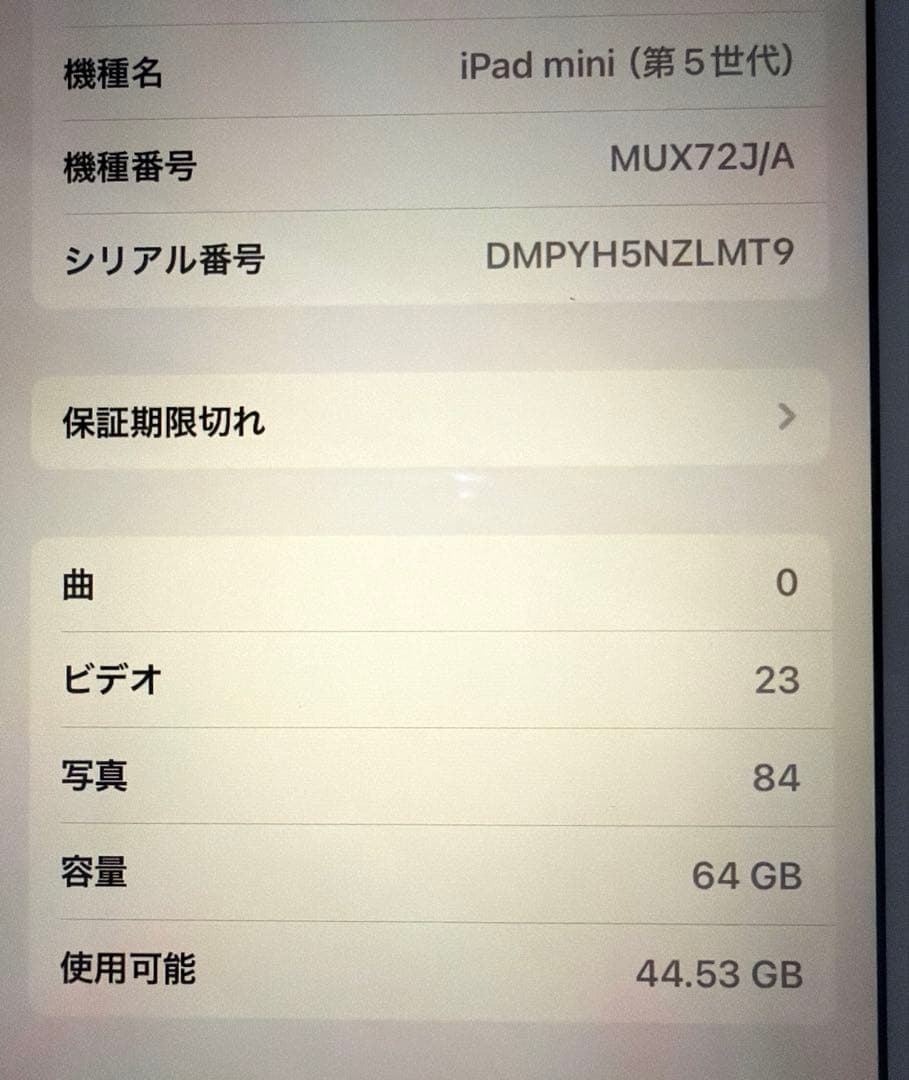 iPad mini Wi-Fi+Cellular 64GB ゴールド