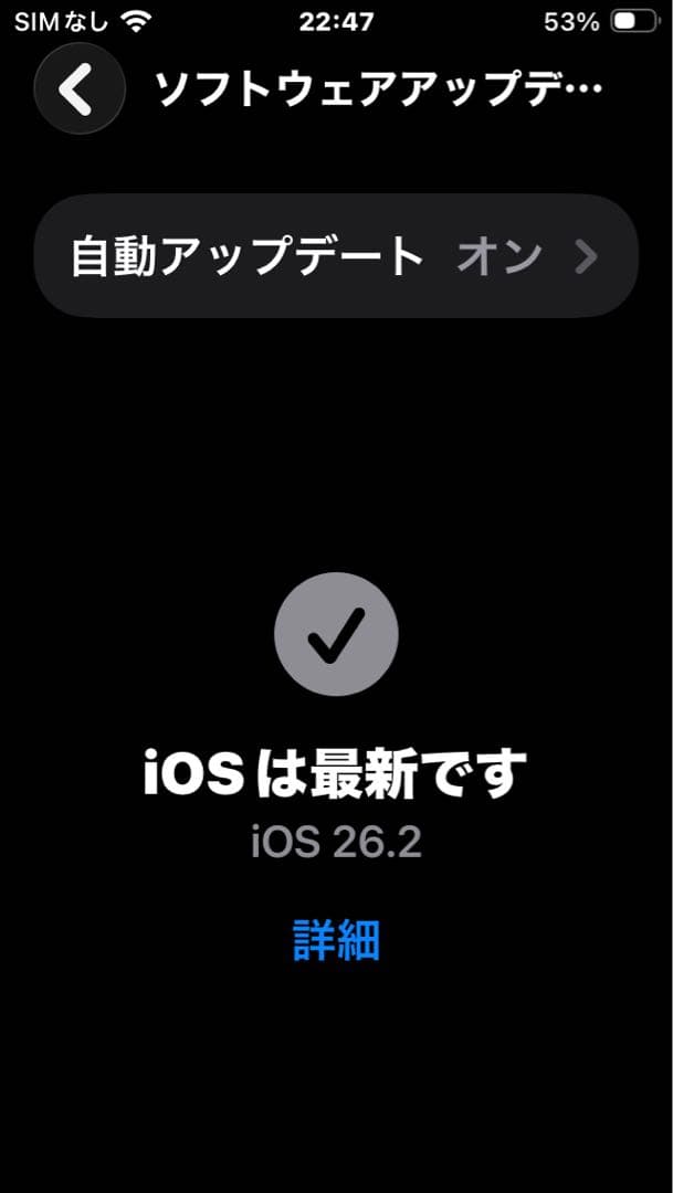 iPhone SE 第2世代 64GB レッド 付属品完備 ケース付