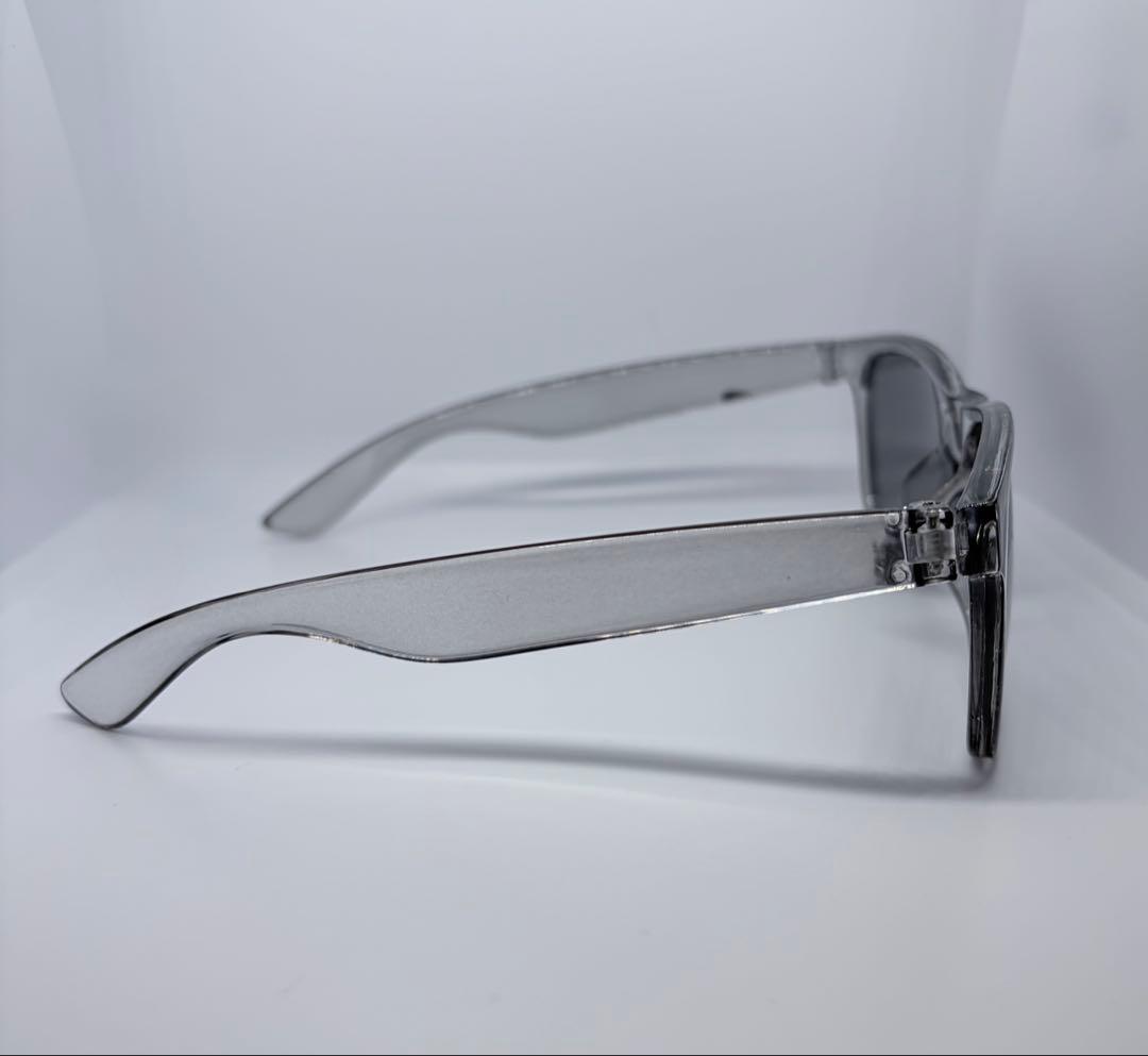 TALEX トゥルービュー ノンブランド枠 ウェイファーラー型 偏光サングラス