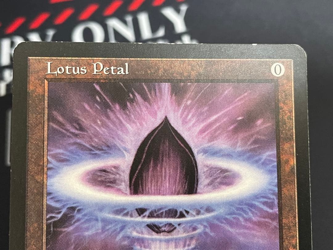 MTG 水蓮の花　4枚セット（日1、英3）