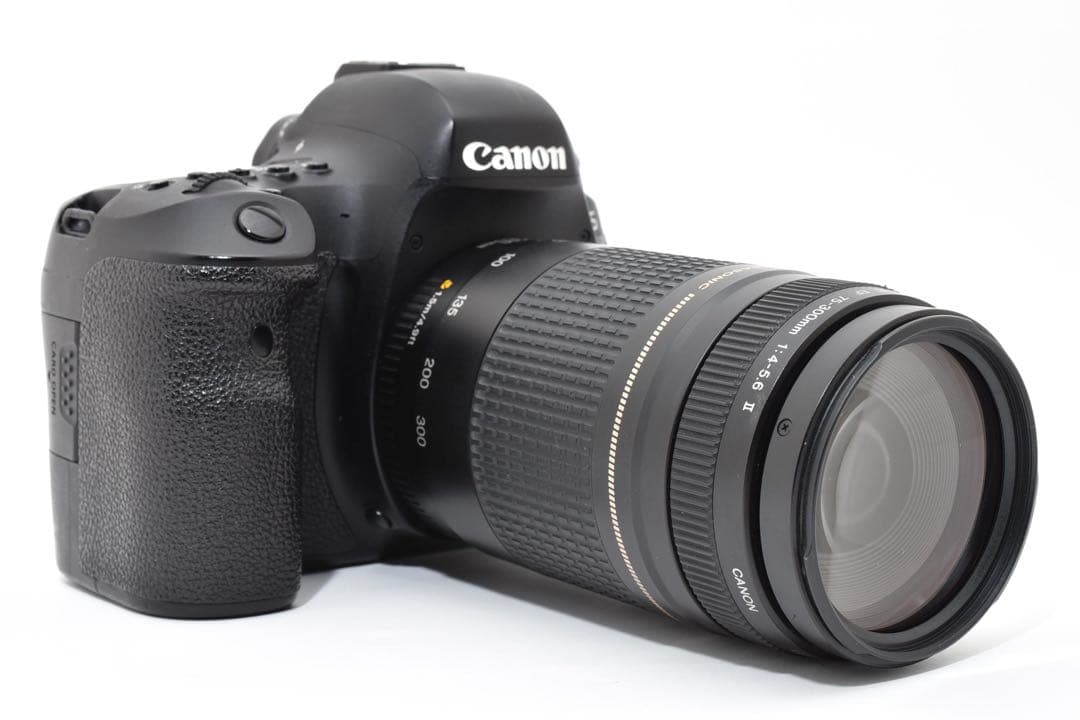 デジタル一眼レフカメラCanon EOS 6D Mark II 望遠レンズセット