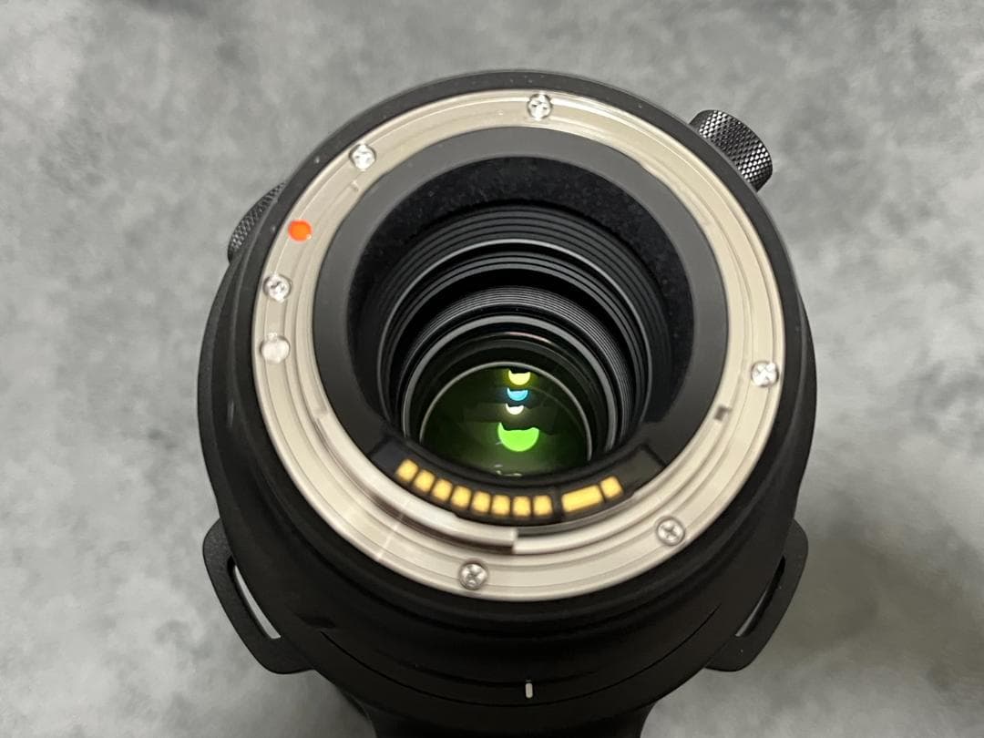 レンズ(単焦点) SIGMA 500mm F4 DG OS HSM SPORTS CANON EF