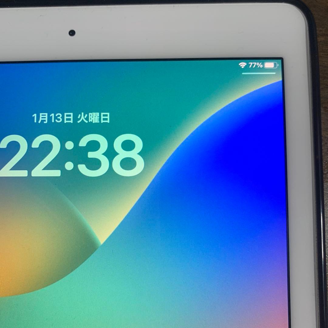 iPad pro 9.7インチ　第一世代　ケース付　256GB バッテリー80%