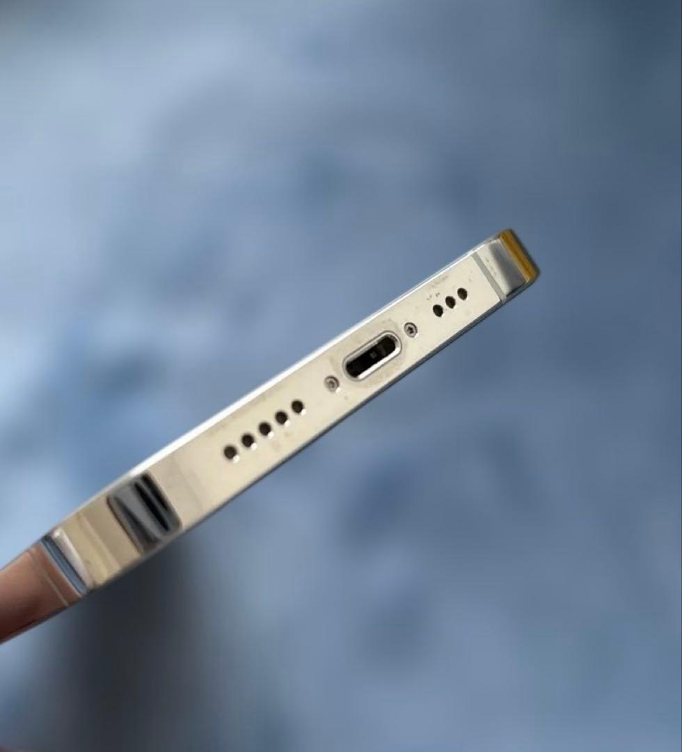 Apple iPhone 12 Pro シルバー　本体　256GB