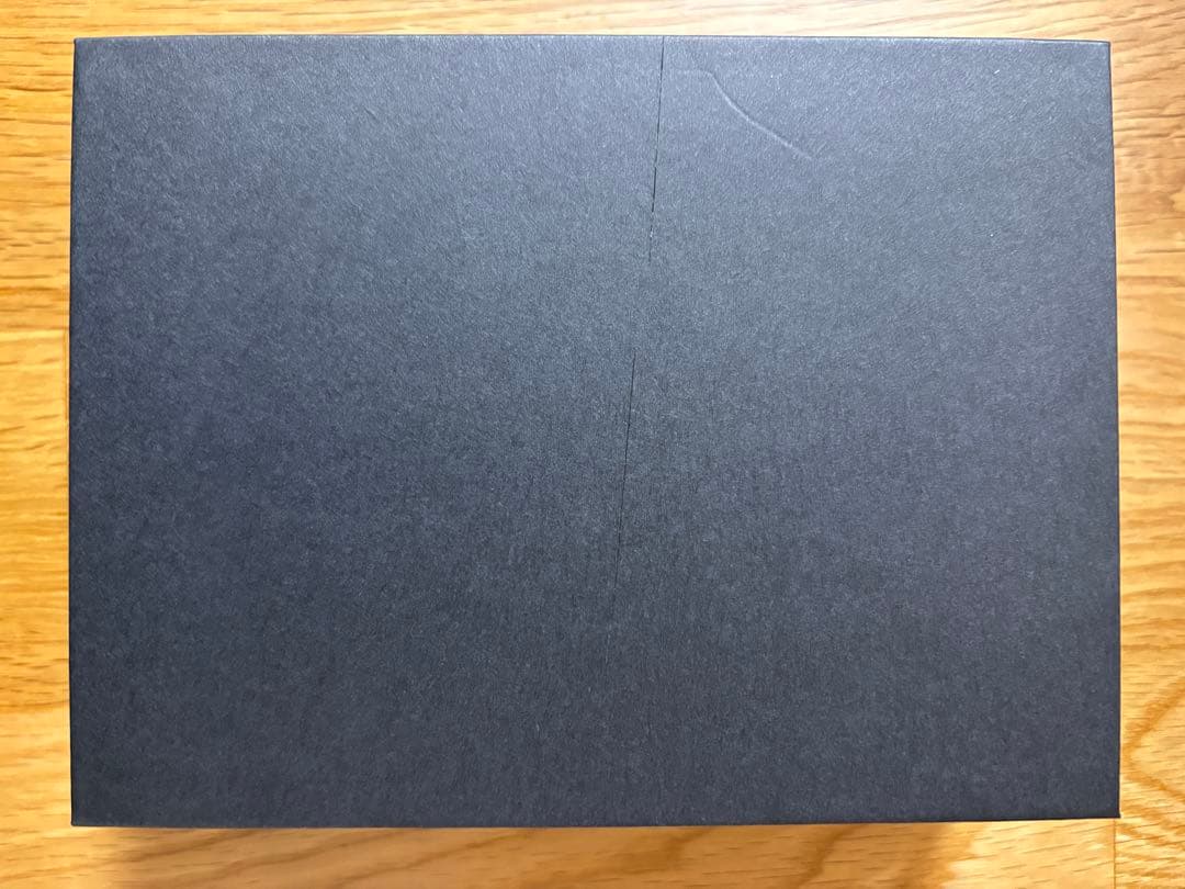 骨伝導イヤホン PALV