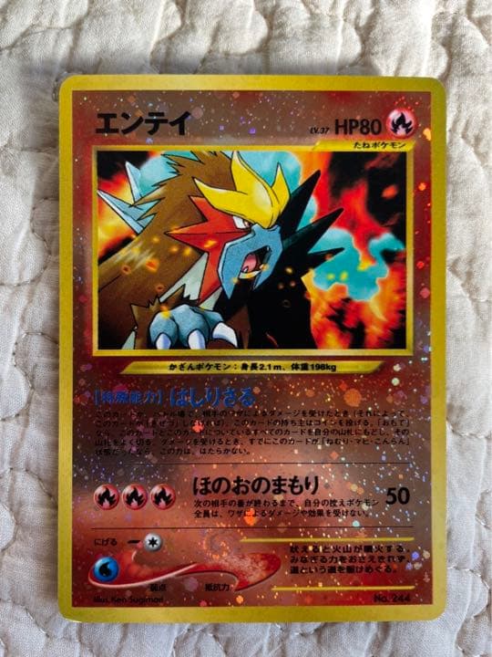 ポケモンカード旧裏　エンテイ　リザードン　プレミアムファイル