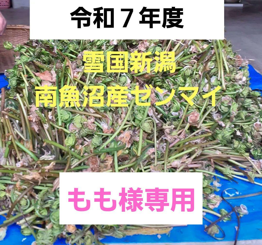 もも　南魚沼産ぜんまい500g