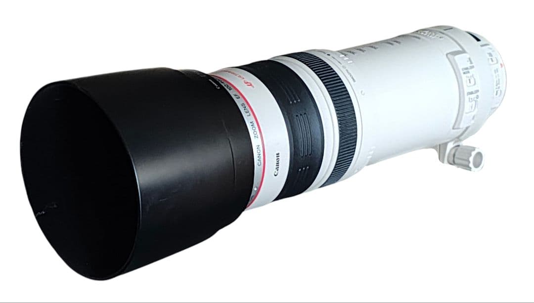 ten キャノン EF 100-400/4.5-5.6 L IS USM
