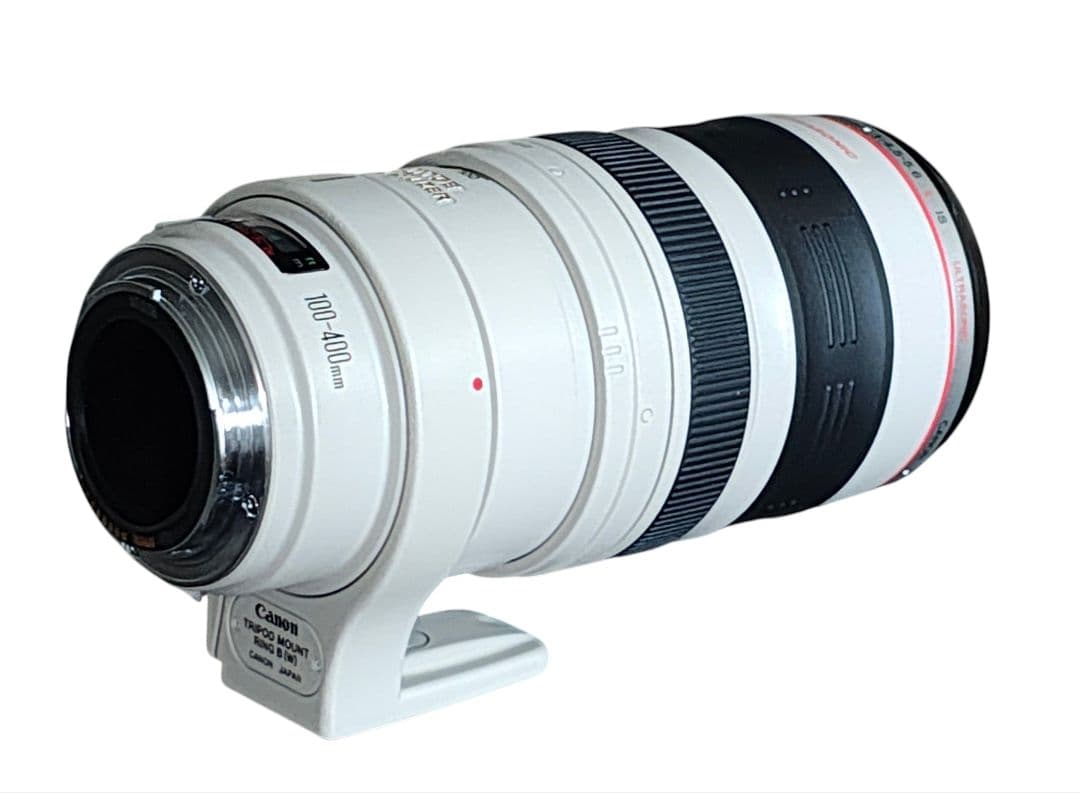 ten キャノン EF 100-400/4.5-5.6 L IS USM