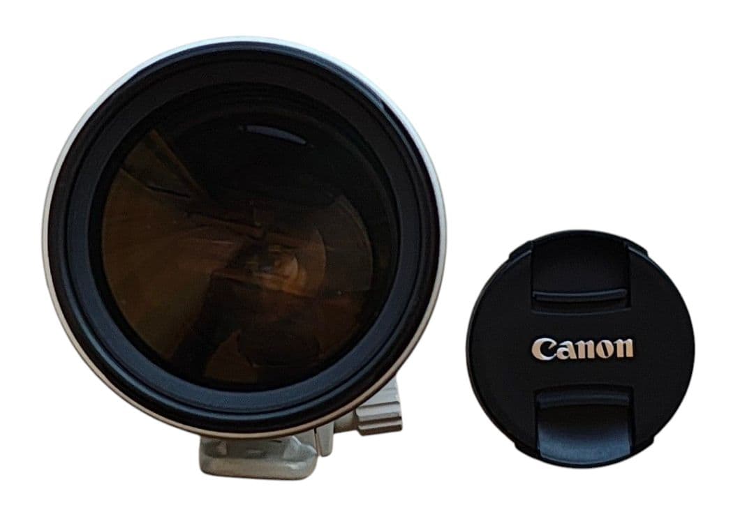 ten キャノン EF 100-400/4.5-5.6 L IS USM