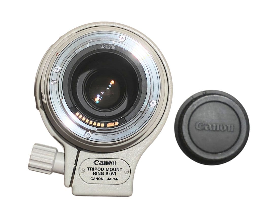 ten キャノン EF 100-400/4.5-5.6 L IS USM