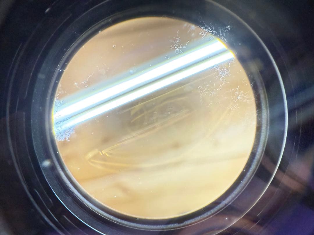 フィルムカメラ OLYMPUS OM-1 BLACK G.zuiko 55mm f1.2