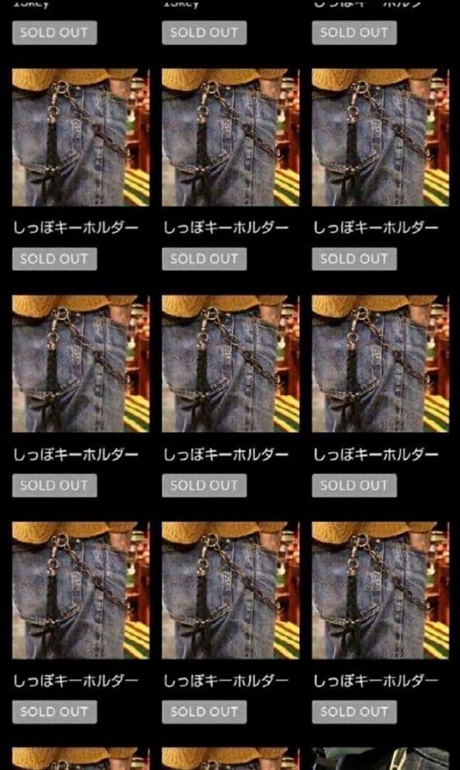 J*m様 即完 しっぽキーホルダー