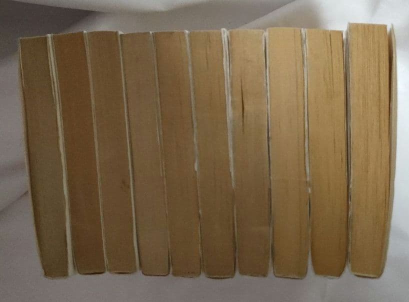 パンクポンク 10冊セット たちいりハルコ　小学館