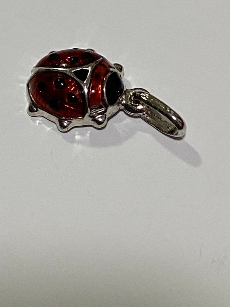 k18 ウノアエレ　テントウムシ　チャーム