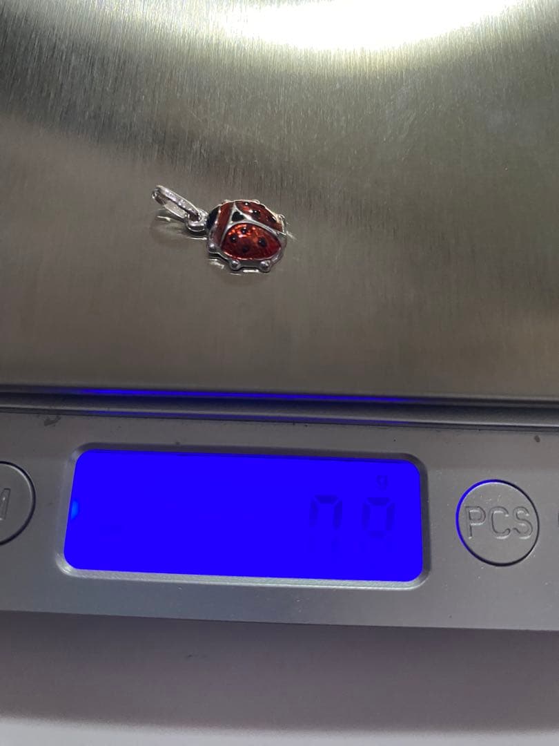 k18 ウノアエレ　テントウムシ　チャーム