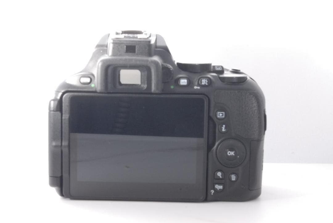 S数1443回 美品✨Nikon D5600 ダブルレンズ Bluetooth
