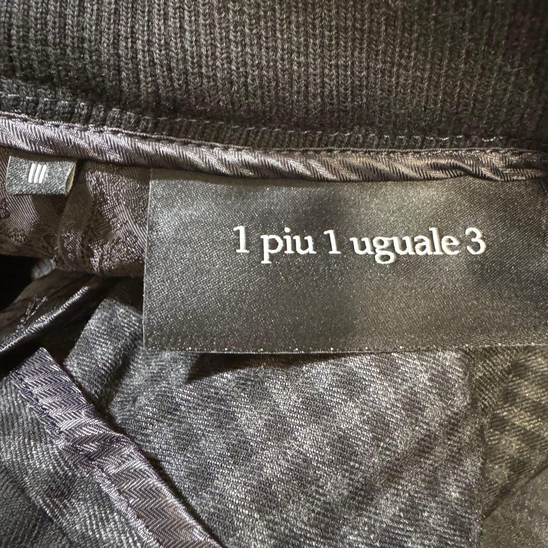【美品】1piu1uguale3/クレイジーチェックリブパンツ/グレー系3