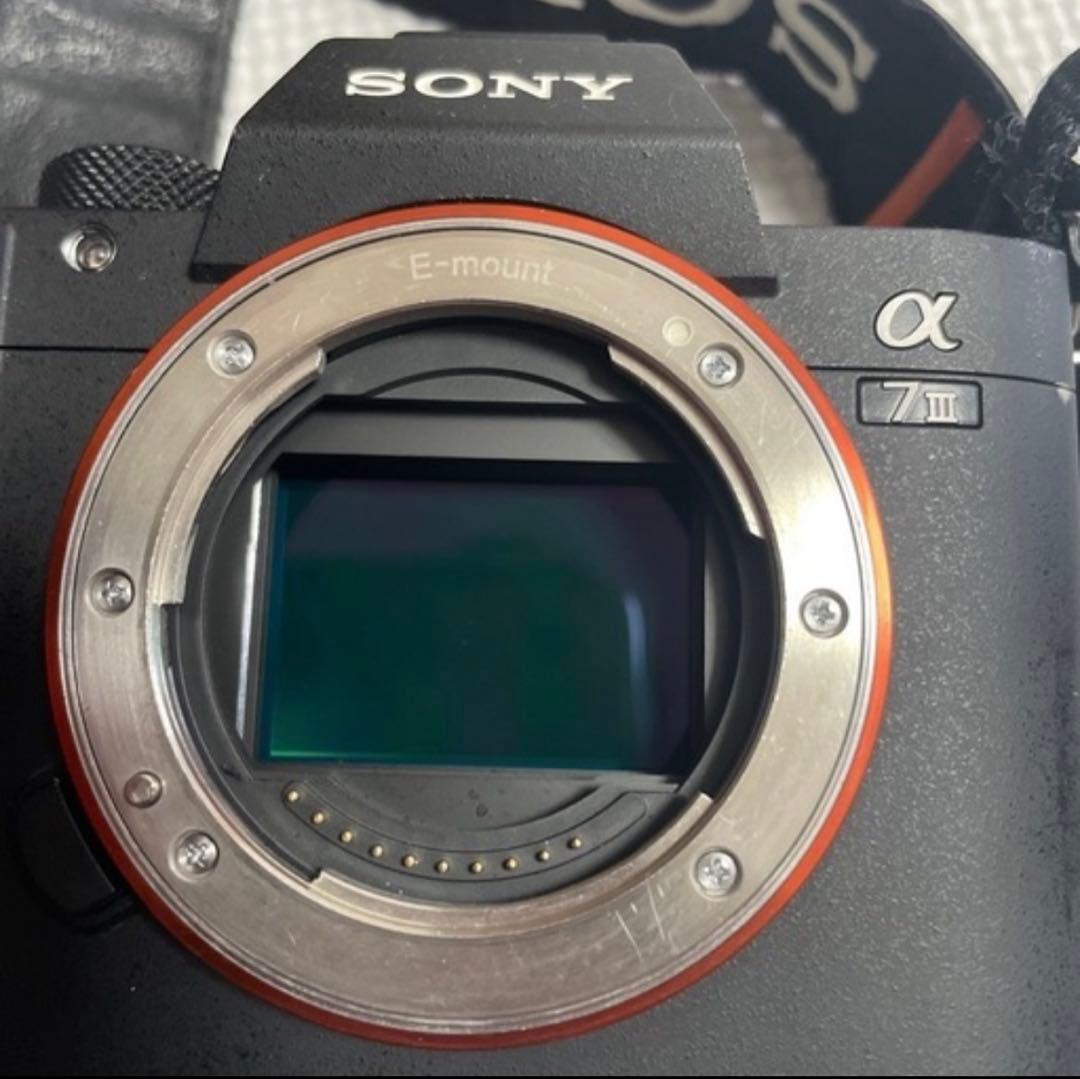 早い者勝ち！SONY α7 III カメラ 本体 【最終価格】