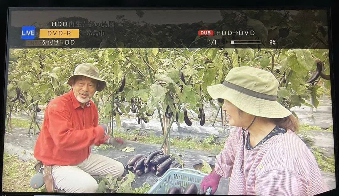 SHARP AQUOS ブルーレイレコーダー BD-NW520