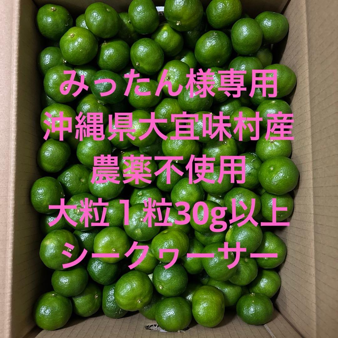みったん　大粒シークヮーサー　農薬不使用