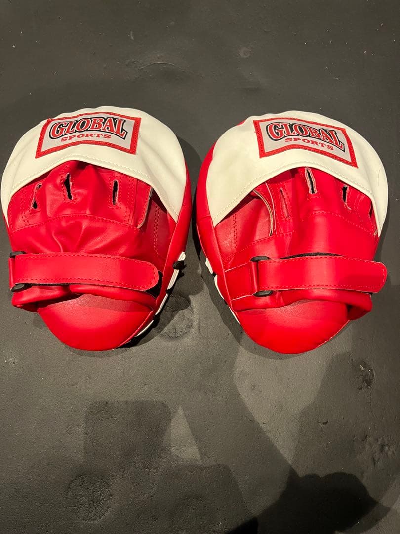 WINDY プロファイトギア & GLOBAL SPORTS グローブセット