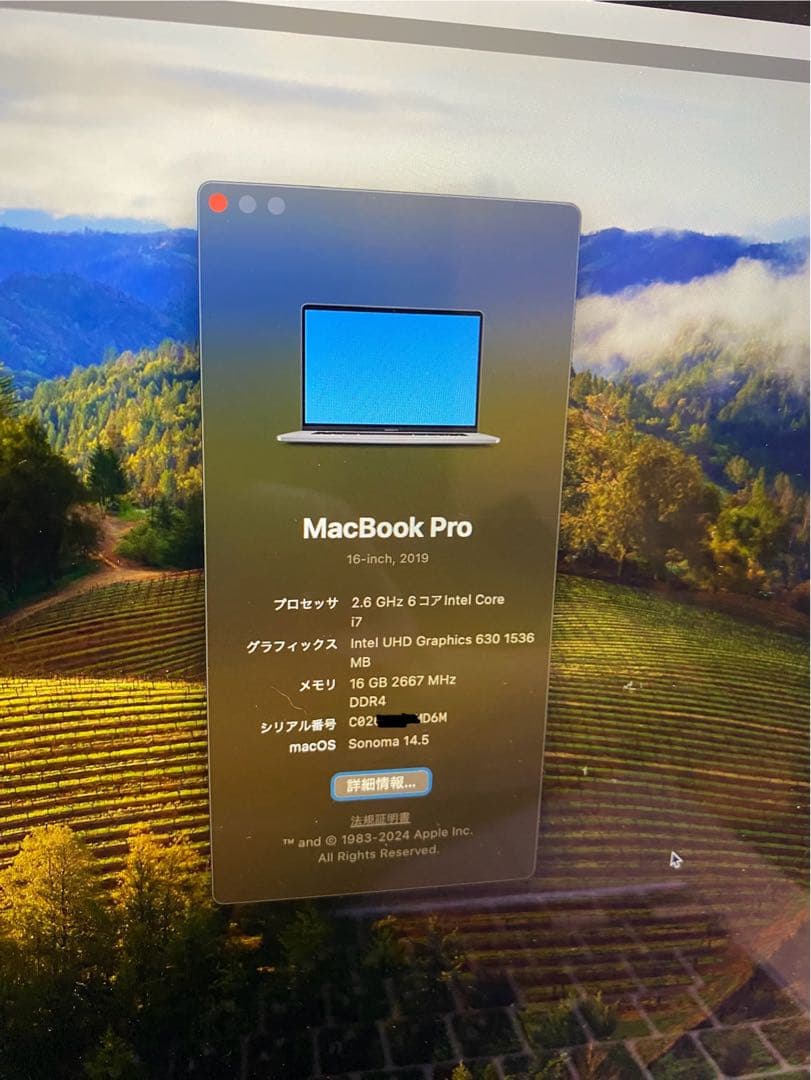 MACBOOK PRO  16インチ　late2019