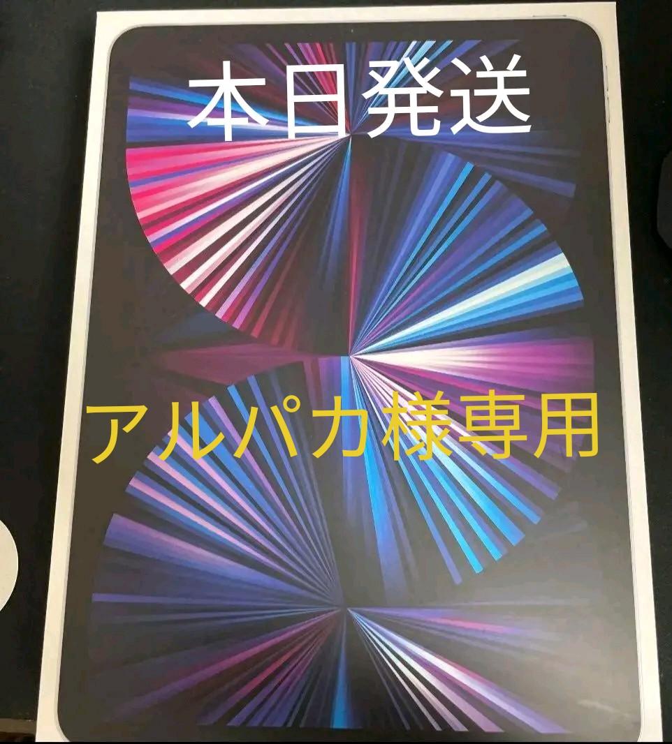 Apple iPad Pro M1 第3世代 3rd 11インチ 256GB美品
