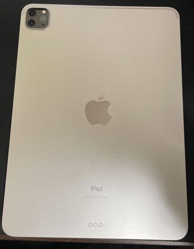 Apple iPad Pro M1 第3世代 3rd 11インチ 256GB美品