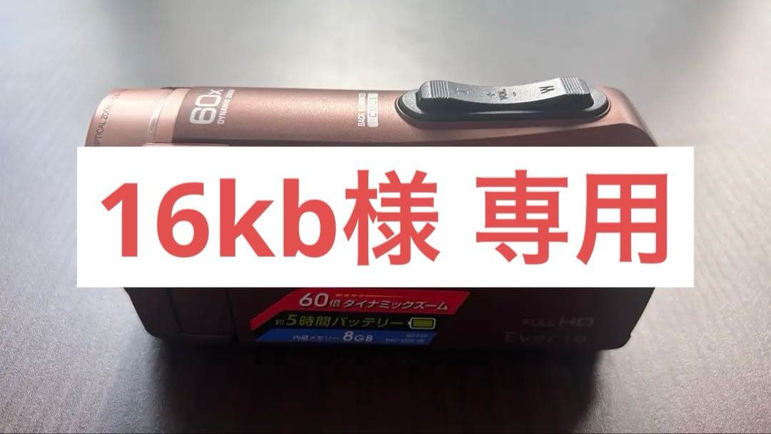 JVCケンウッド ビデオカメラ Everio GZ-F50-T