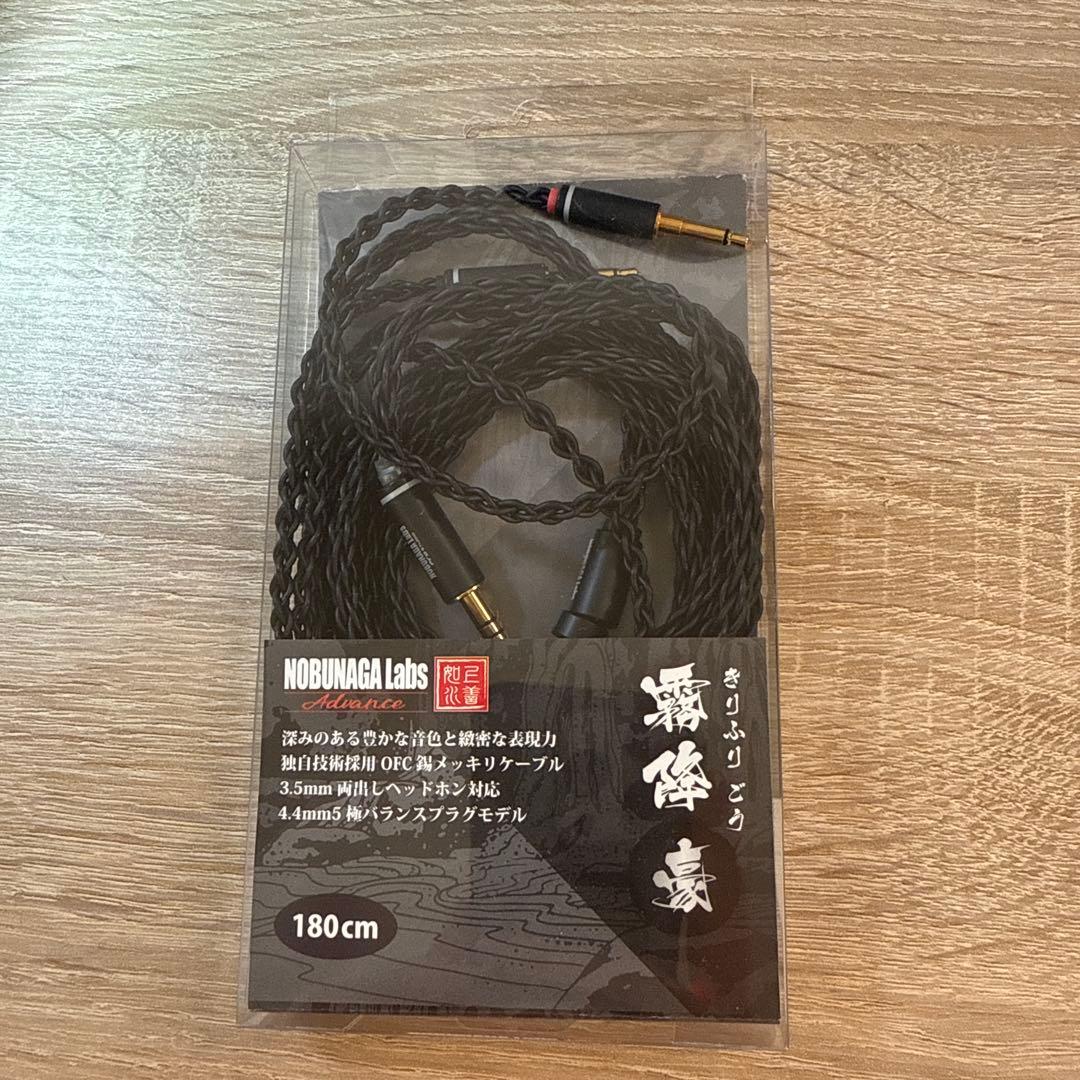 Nobunaga labs 霧降 豪