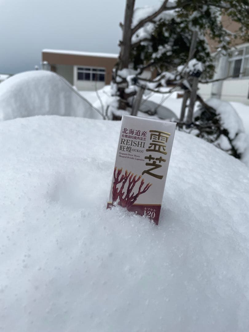 北海道産有機鹿角霊芝使用カプセル