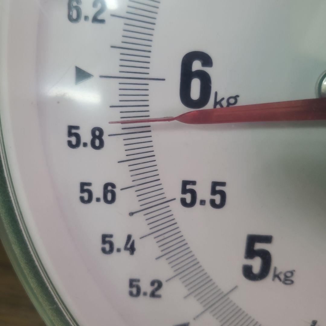 6️⃣ 山梨県産 シャインマスカット １０房入り 箱込み5.7キロ