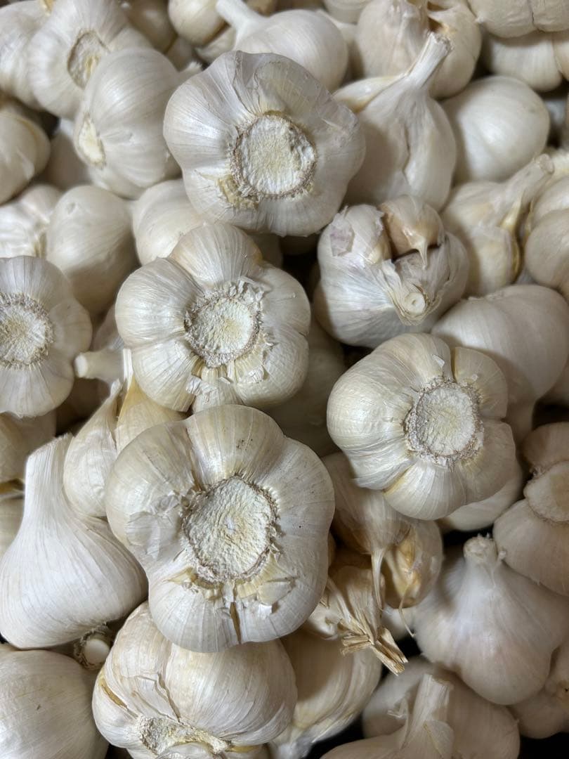 訳ありにんにく4キロ 青森にんにくLサイズ ホワイト六片種にんにく　国産にんにく