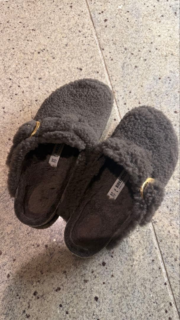 BOSTON BIG BUCKLE TEDDY グレー