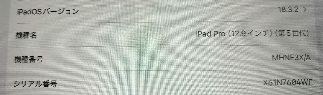 ipad pro 12.9インチ 第5世代 128GB シルバー