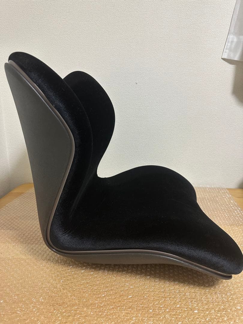 早い者勝ち スタイルプレミアムデラックス 姿勢矯正クッション