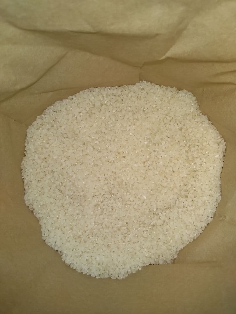 山形県産　雪若丸　白米15kg　自然乾燥米