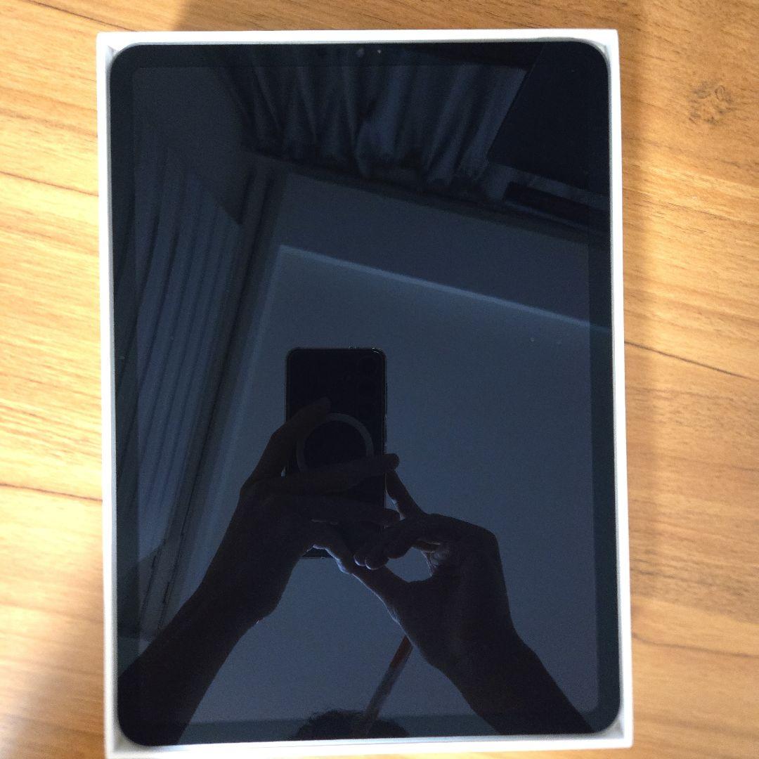 Apple iPad Pro 11インチ M1　256GB