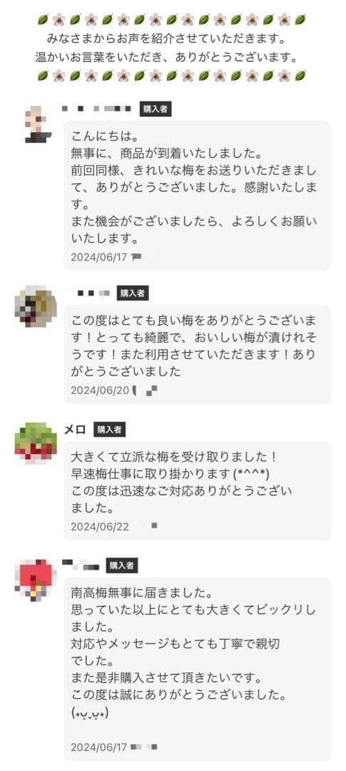 和歌山県みなべ町 南高梅 当日収穫分3Ｌサイズ6kg