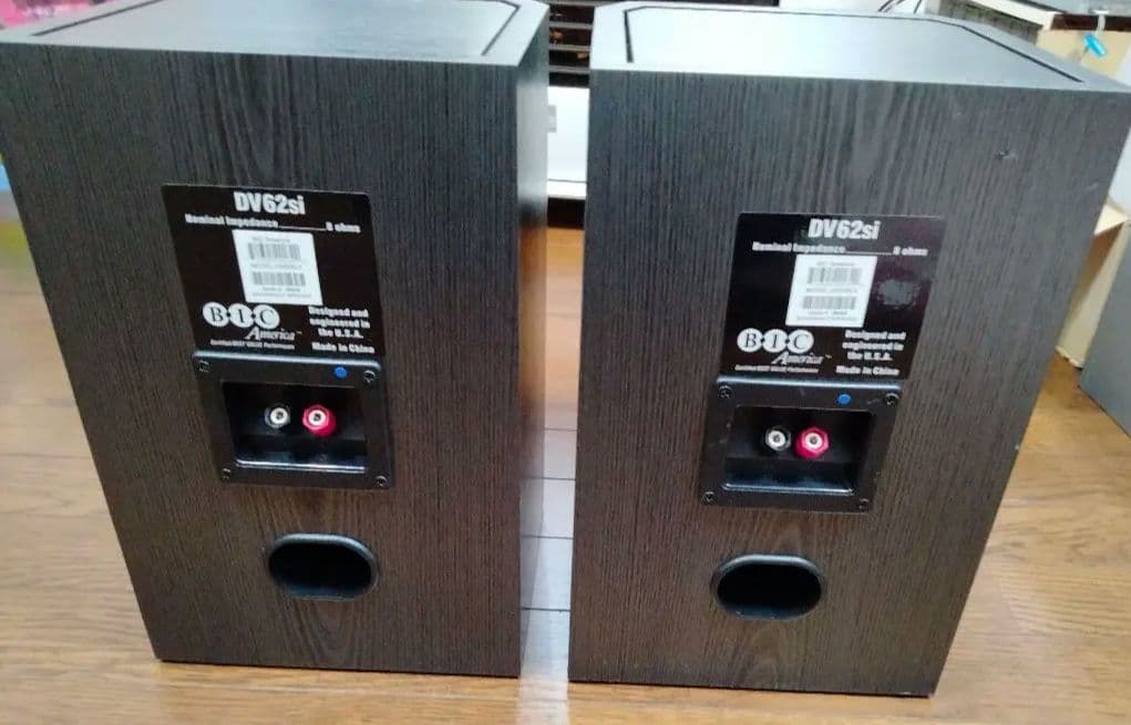 【Pro Cableさんおすすめ】BIC DV62si（中古）