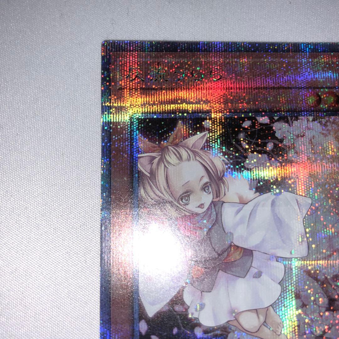 灰流うらら 25th クオシク