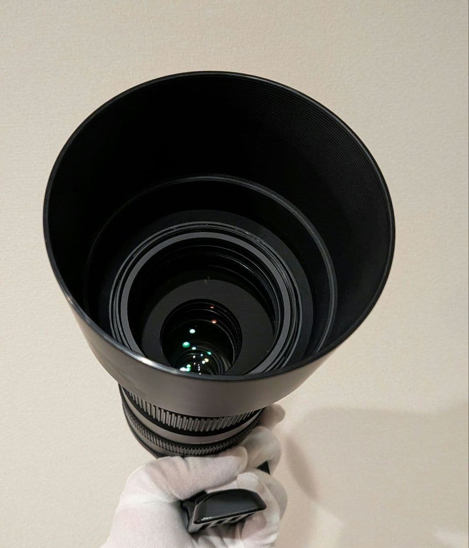 キヤノン EF SIGMA 120-400mm F4.5-5.6 APO HSM