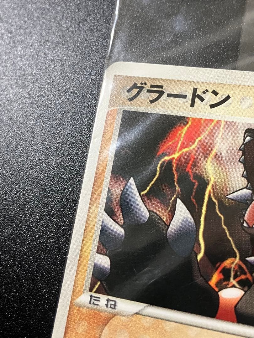 ポケモンカード ポケパーク グラードン 未開封 プロモ Groudon